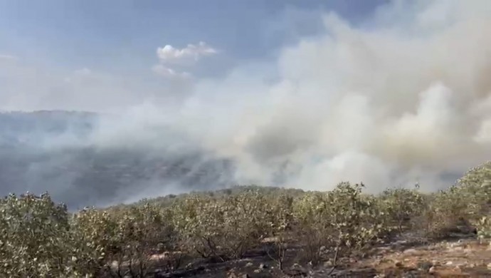 Mardin Omerya bölgesinde yangın rüzgarın etkisiyle yayılıyor