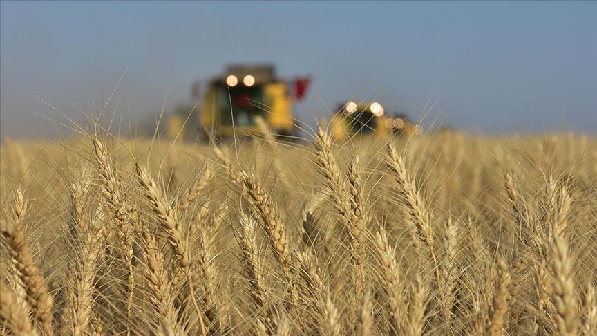 TMO buğday ve arpa alım fiyatını açıkladı: ‘Çiftçiye yine borç kaldı’