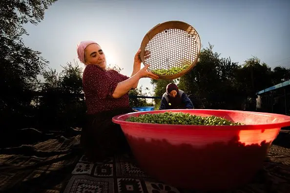 Meclis Komisyonu’ndan geçen enerji ve madencilik düzenlemesi hakkında neler biliniyor?