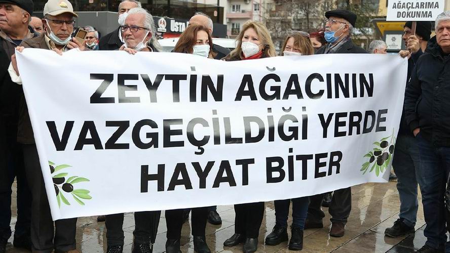 Zeytinlik alanlarda madenciliğe izin veren madde komisyonda kabul edildi