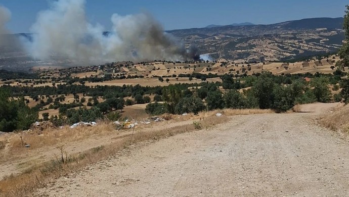 Ege’de 4 kentte orman yangınları