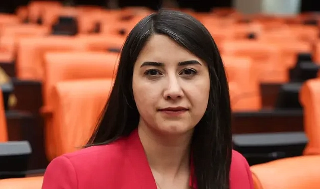 Zeytinlik alanları maden şirketlerine açan yasa teklifi | DEM Partili Dilan Kunt Ayan: Şu aşamada geri çekildi