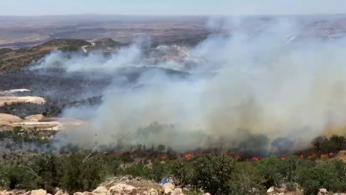 Mardin ve Şırnak’ta orman yangını