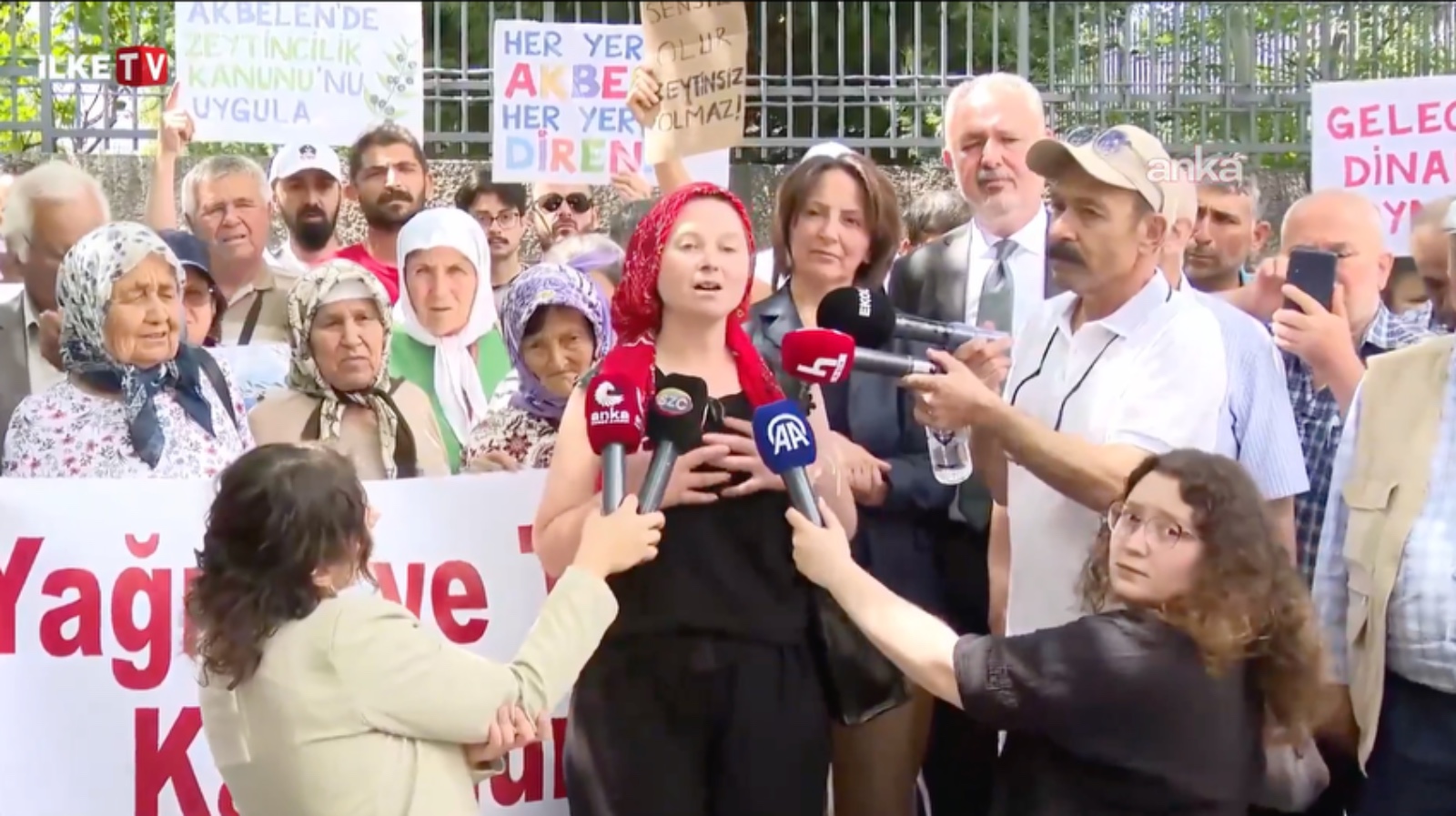 Köylüler zeytinlikleri için Meclis kapısında: Masalsı köyüm yerle bir edildi