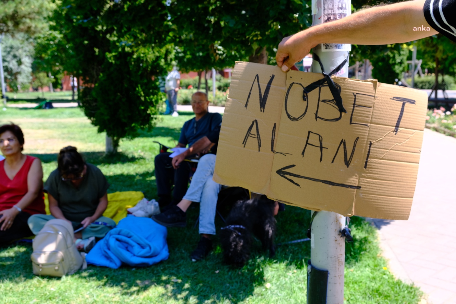 Eskişehir’de zeytinlikler için yaşam nöbeti: Şirketler yasayı siparişle getirdi