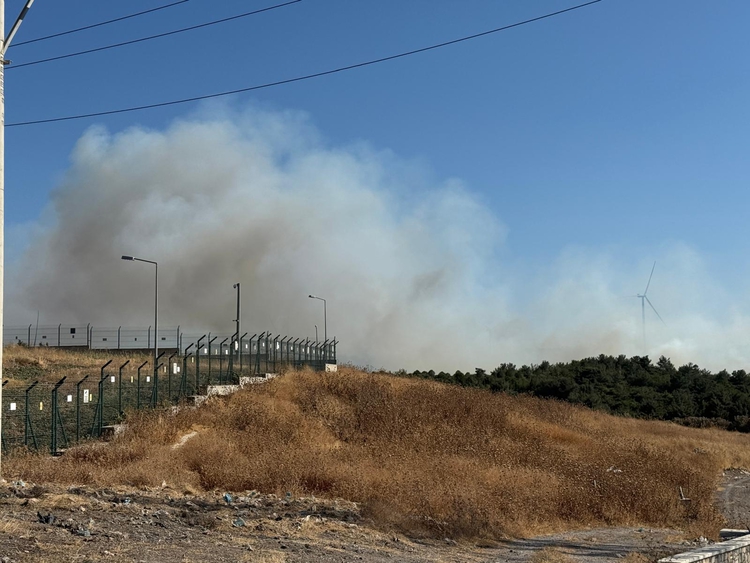 İzmir Urla ve Aliağa’da orman yangınları kontrol altına alındı