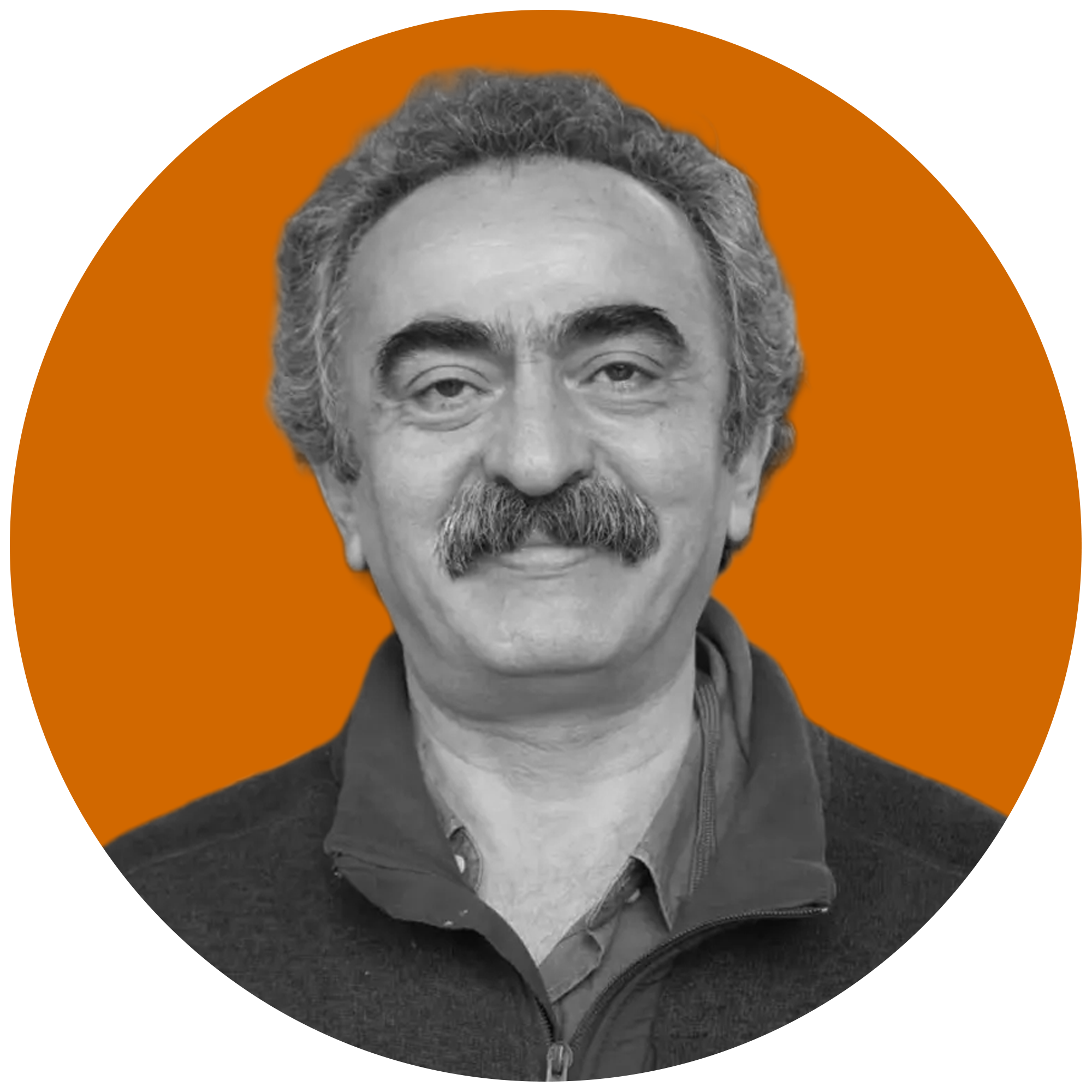 Silah bırakma arzusu, silah bırakma gücü