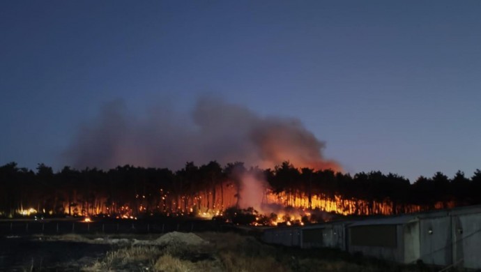 Balıkesir’deki orman yangınıyla ilgili 2 kişi tutuklandı
