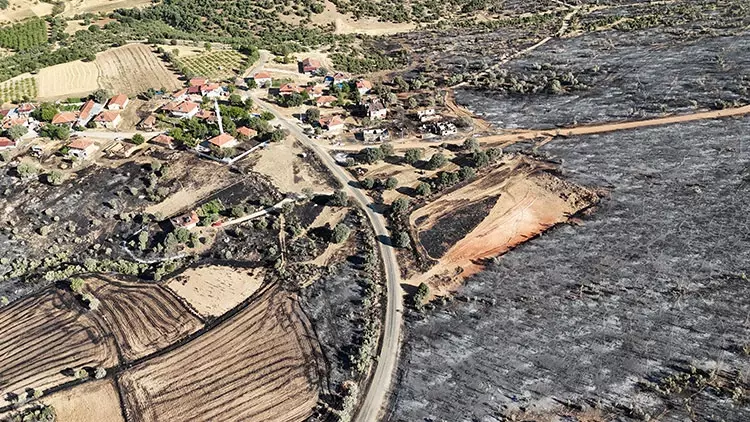 🔴 Orman yangınlarında son durum | Bursa, Uşak, Elazığ, Karabük, Kahramanmaraş, Lice