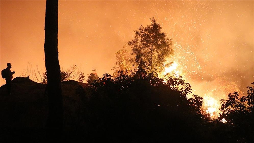 Hatay Valiliği’nden Lazkiye’deki yangına dair açıklama