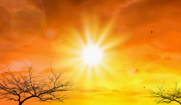 Meteoroloji’den yüksek sıcaklık uyarısı