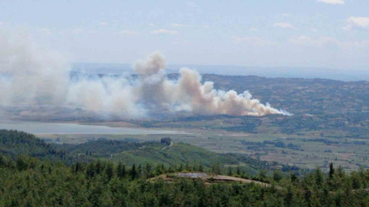 Kahramanmaraş’ın Andırın ilçesinde orman yangını