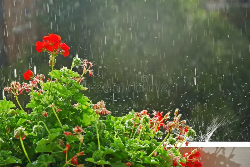 Meteoroloji  duyurdu: Sağanak yağış geliyor