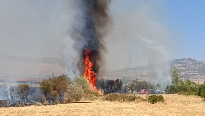 Lice’de tarım arazisinde yangın çıktı