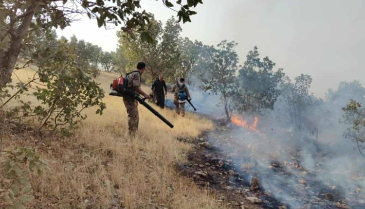 Süleymaniye’de yangın: 300 dönüm arazi küle döndü