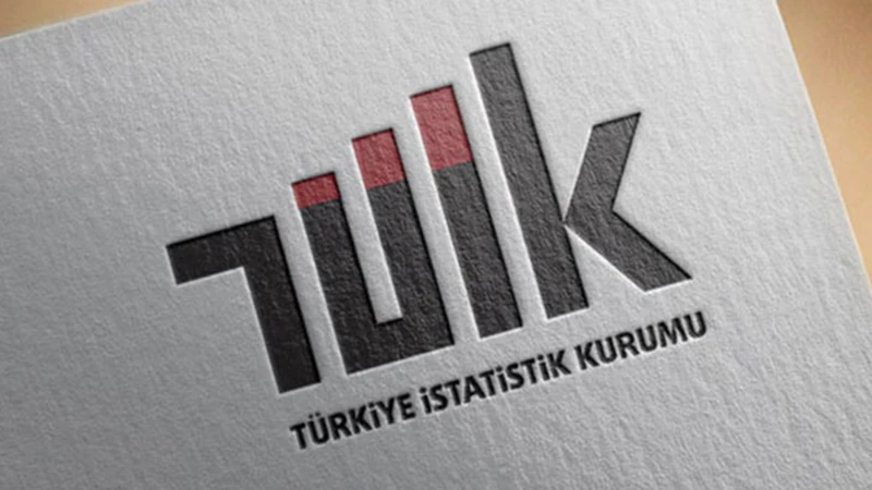 TÜİK, Başarır’ın eleştirilerini ‘hakaret’ sayarak 50 bin TL tazminat davası açtı