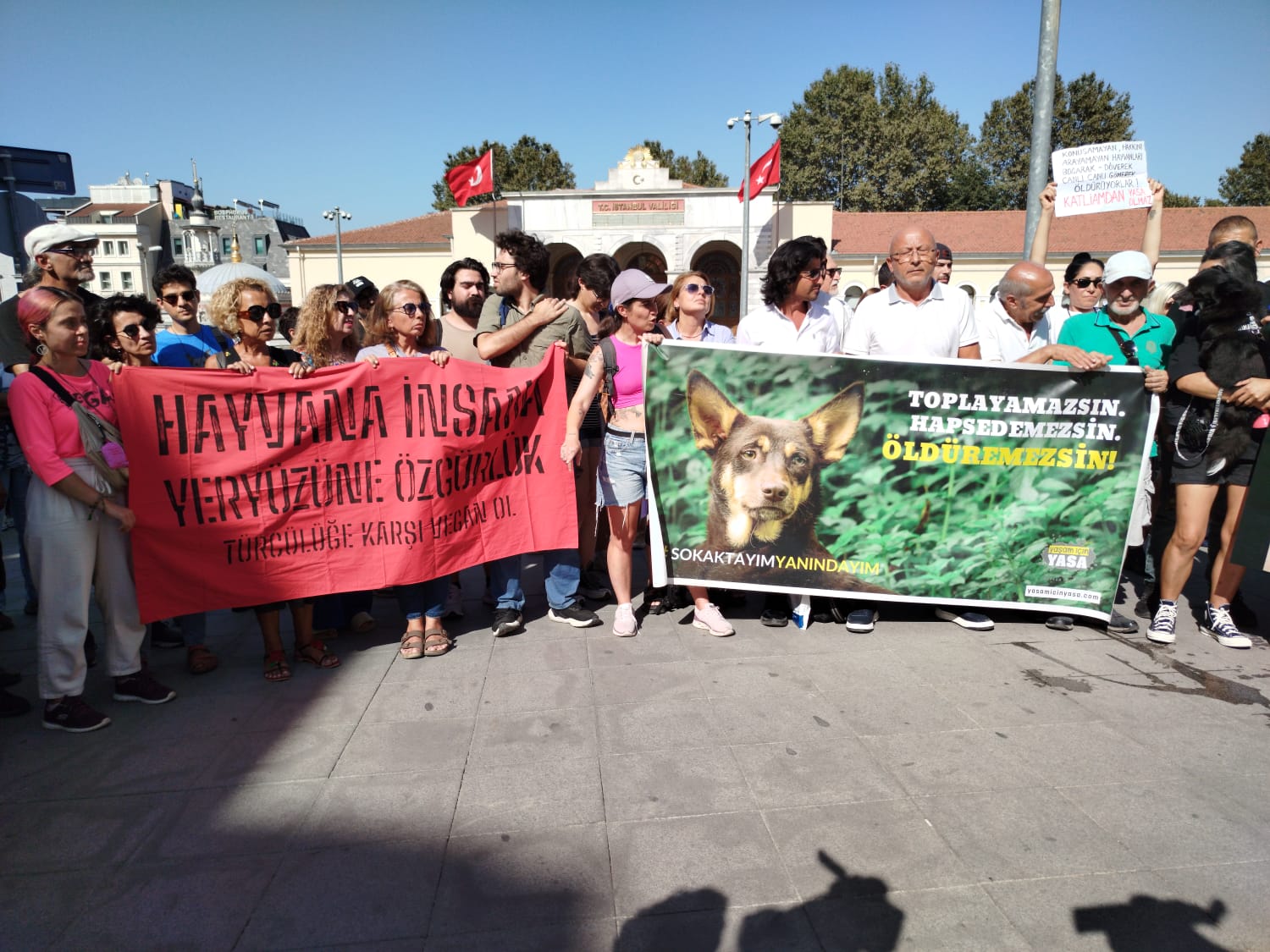 Valiliğin ‘okul öncesi köpek toplama’ talimatına yaşam savunucularından tepki