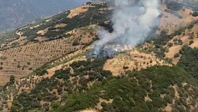 Aydın’da zeytinlik alanda yangın çıktı: Müdahale sürüyor