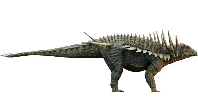 Fas’ta dünyanın en eski zırhlı dinozoru keşfedildi