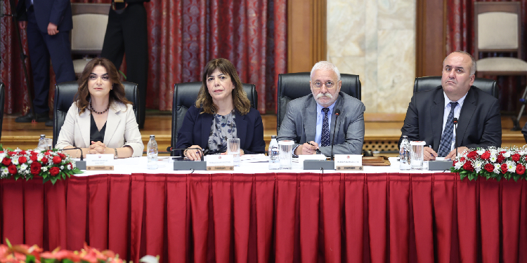Meclis Komisyonu’nda DEM Parti ana dil meselesini gündeme taşıdı