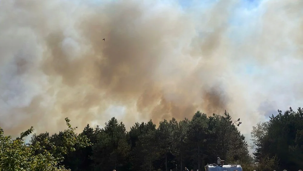Sakarya’da orman yangını