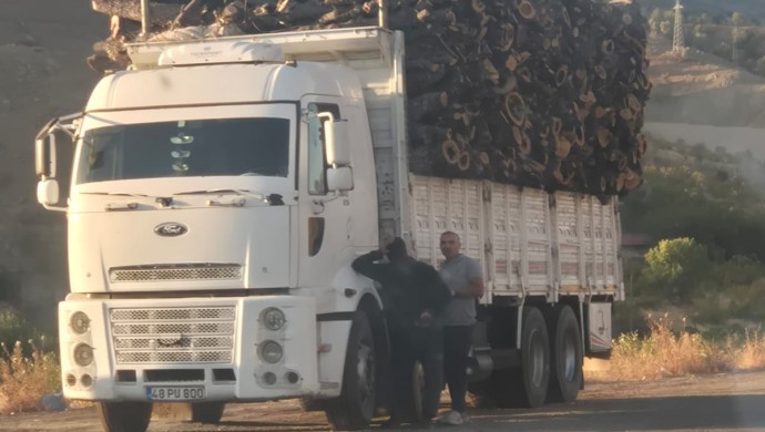 Dorşin bölgesinde ağaç kıyımı: Kamyonlarla Diyarbakır’a taşınıyor