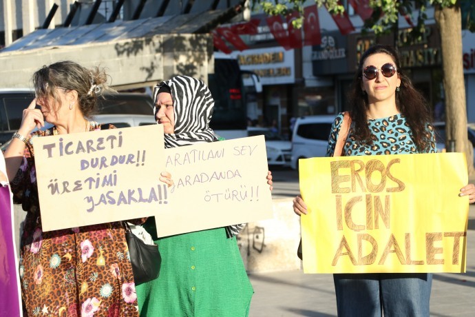 Diyarbakır’da hayvan hakları aktivistlerinden talep: Meclis’te komisyon kurulsun