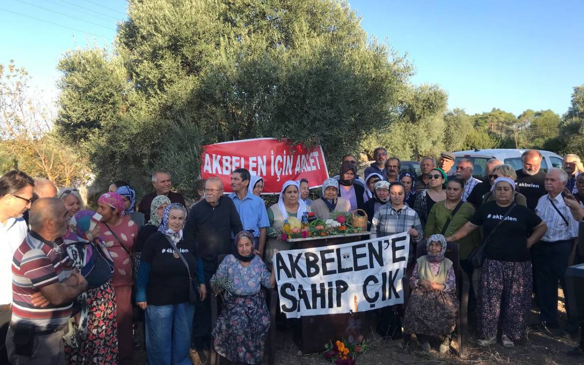 Akbelen’de zeytin sökümü başladı: Köylüler alana girmek istiyor, ‘Tek bir ağaca dokundurtmayacağım’