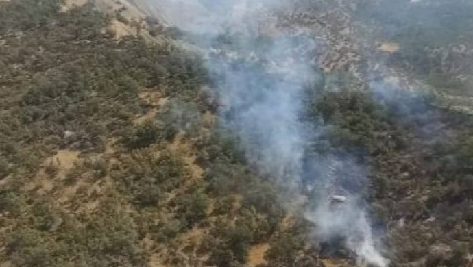 Şırnak Besta’da orman yangını