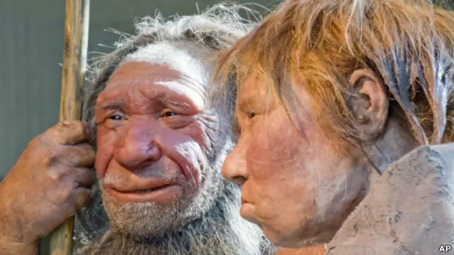 Neandertaller sandığımız kadar etobur değilmiş
