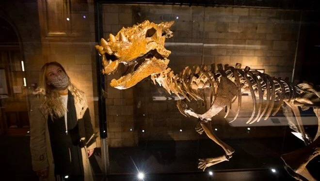 Bugüne kadar yapılan en eski keşif: 108 milyon yıllık dinozor fosili bulundu