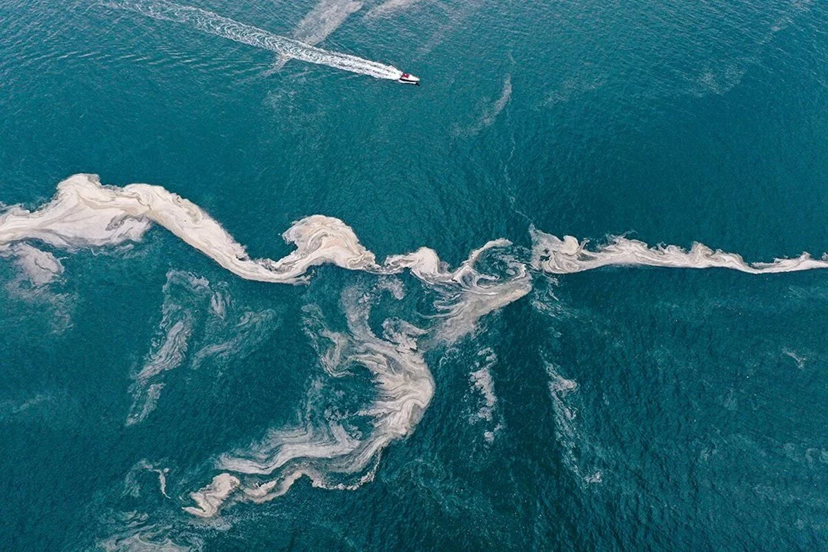 Marmara Denizi’nde müsilaj yoğunluğu