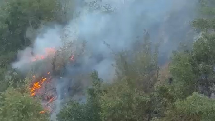 Hakkari’de doğa harikası köyde orman yangını