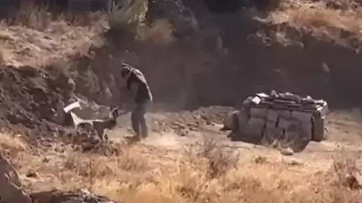 4 aylık köpeğe şiddet uygulayan kişi gözaltına alındı