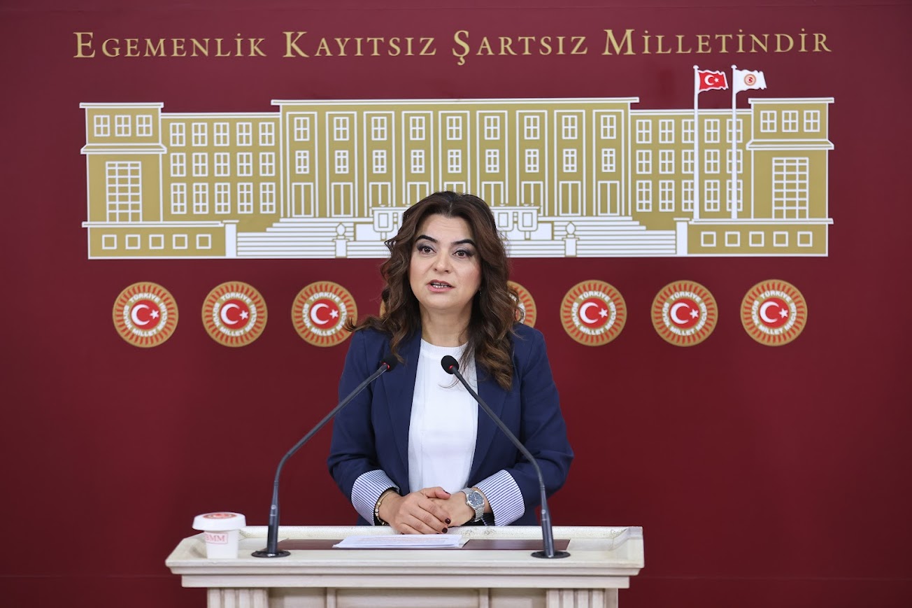 Gülistan Kılıç Koçyiğit: İmralı Heyeti ile Cumhurbaşkanı Erdoğan’ın görüşmesi planlanıyor