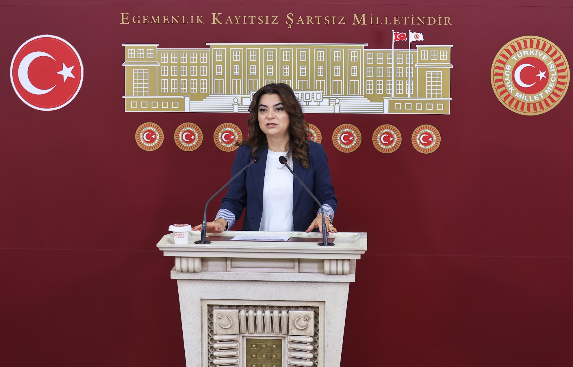 Gülistan Kılıç Koçyiğit’ten tezkere tepkisi: Suriye’de halkların beklentisi tezkere değil demokrasi