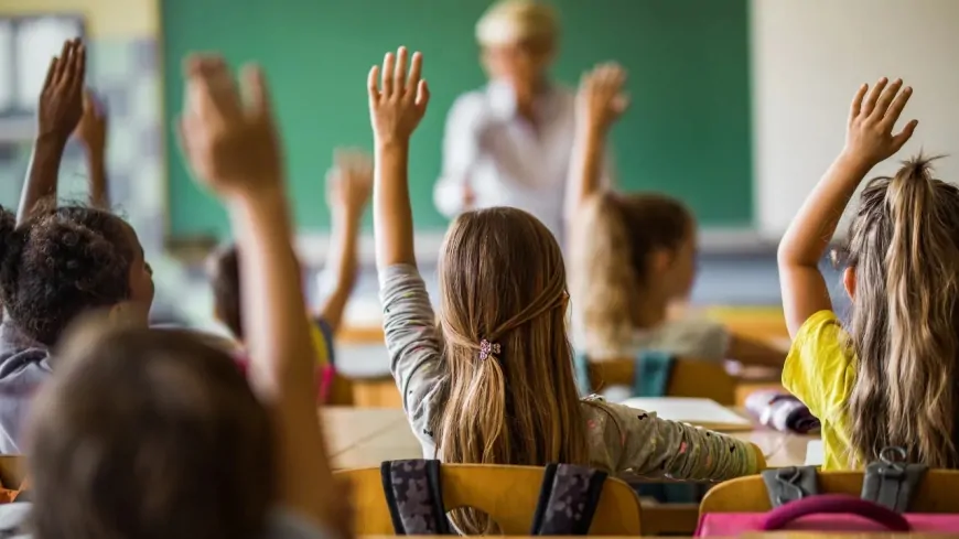 Eğitim Sen Genel Başkanı: Zorunlu eğitim 12 yıl olmak zorunda
