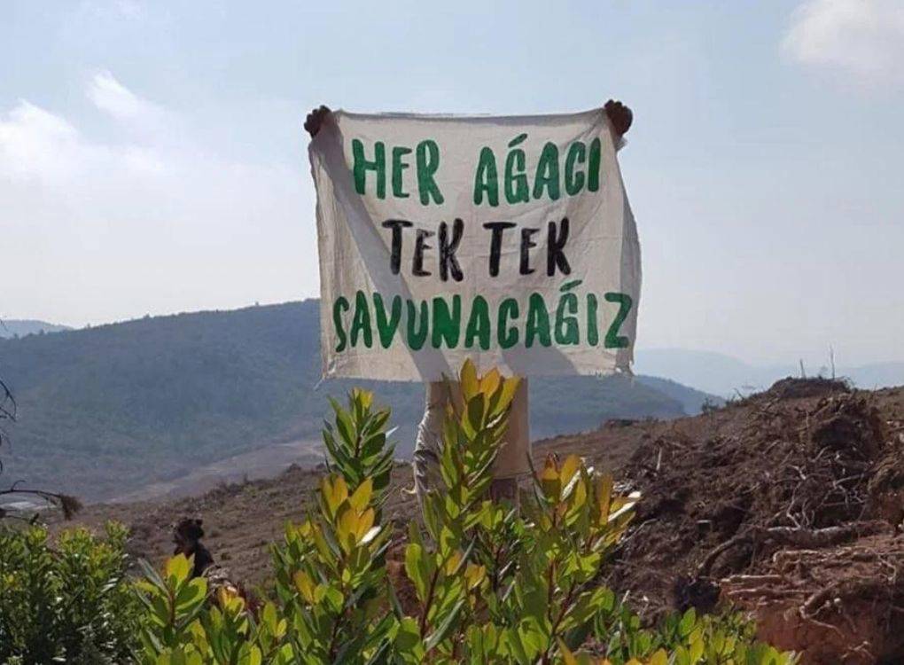 Sivil toplum örgütlerinden Koza’nın ‘ÇED olumlu’ kararına karşı ortak dava