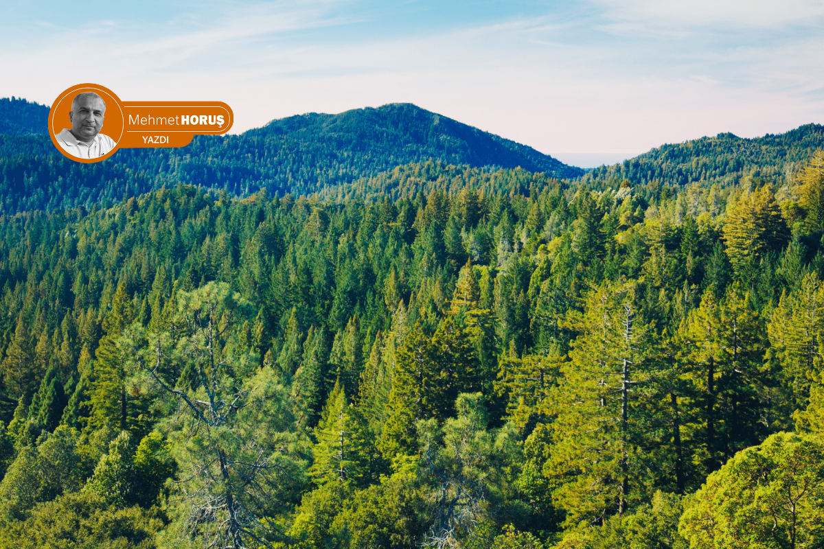 Doğanın dokunulmazlığı kaldırılıyor (1)