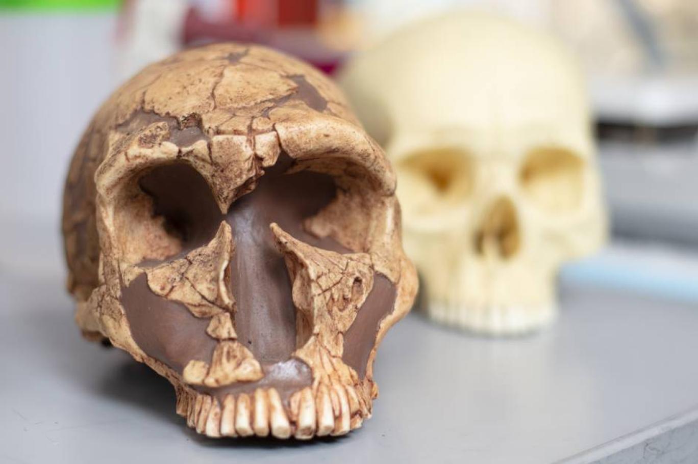 Neandertaller kurşunla mı yok oldu?
