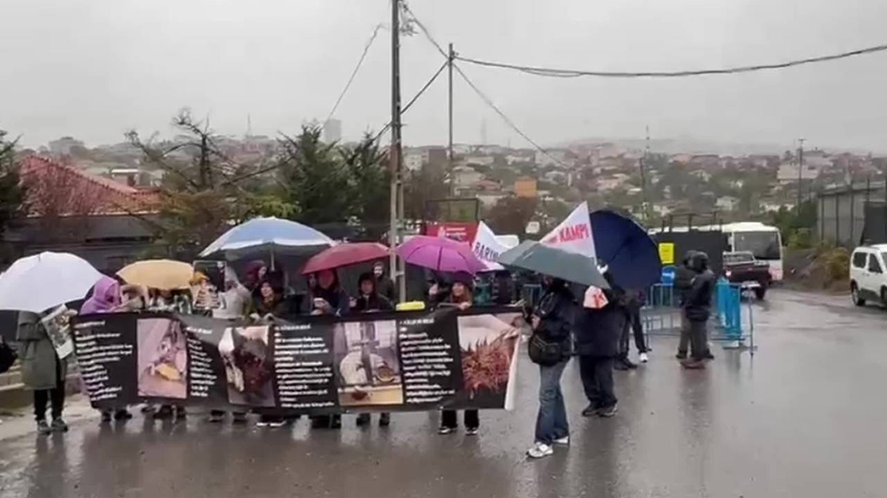 Hayvan katliamının yıldönümünde Ümraniye Hekimbaşı Barınağı önünde protesto