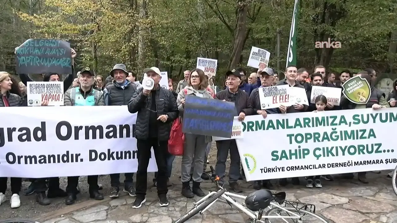 Belgrad Ormanı için yürüdüler: ‘Doğal alanlarımızı kaybediyoruz’