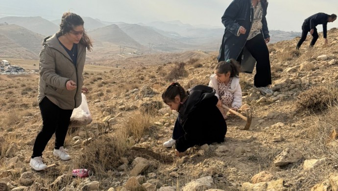 Mardin’de 30 bin meşe palamudu toprağa kavuşuyor