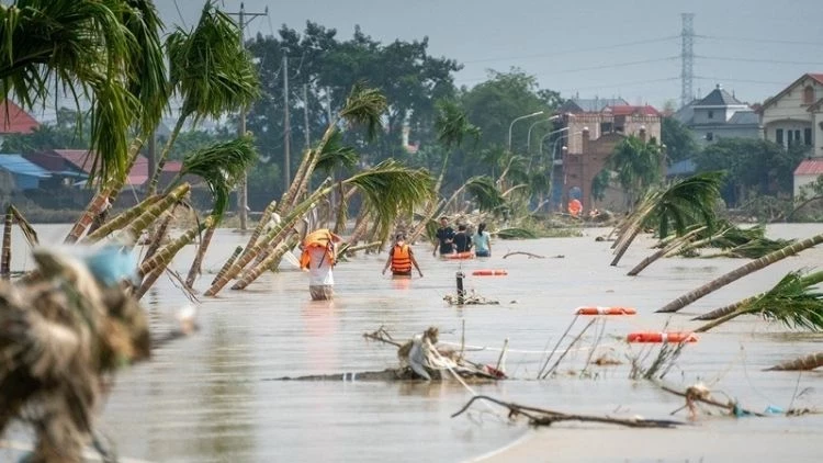 Vietnam’da şiddetli yağışların yol açtığı sellerde 41 kişi hayatını kaybetti