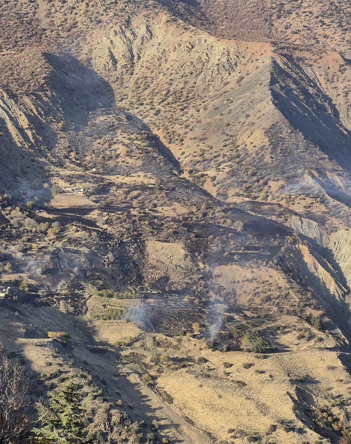Kahramanmaraş’ta orman yangını