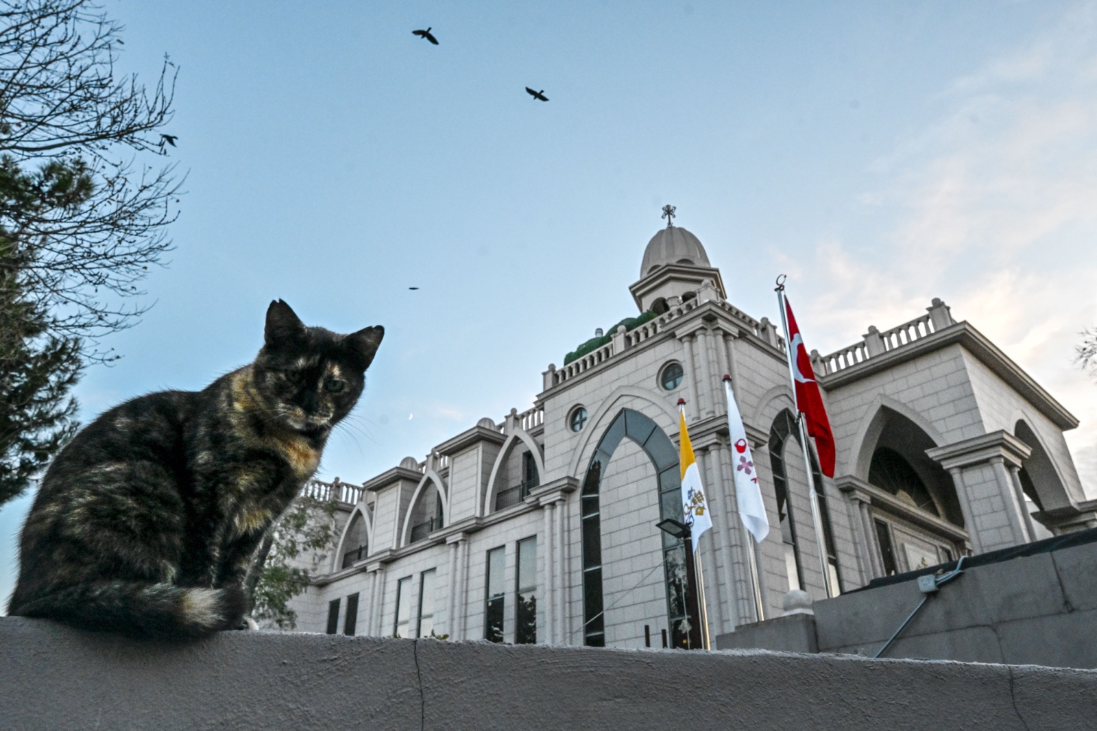 Papa 14. Leo yarın İstanbul’a geliyor: İbadethanelerde hazırlıklar hızlandırıldı
