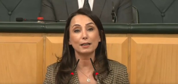 Tülay Hatimoğulları Meclis’te konuşuyor