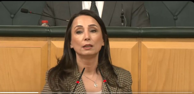 Tülay Hatimoğulları Meclis’te konuşuyor