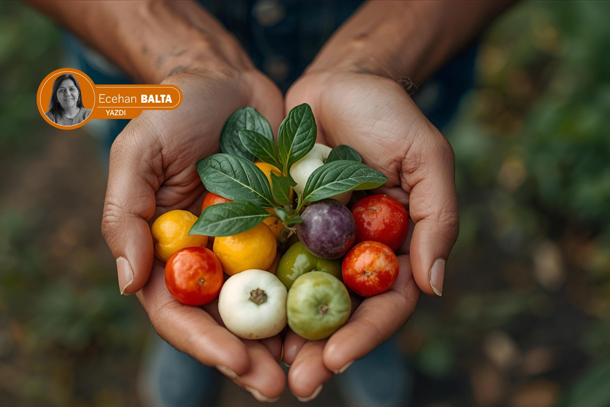 Yerel Yönetimler ve Gıda Egemenliği