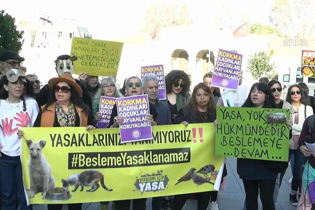Valiliğin ‘besleme yasağına’ tepki: ‘Karar yetki aşımıdır’